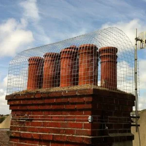 Weldmesh 50mm x 50mm 1.9mm Galvanised Steel Mesh